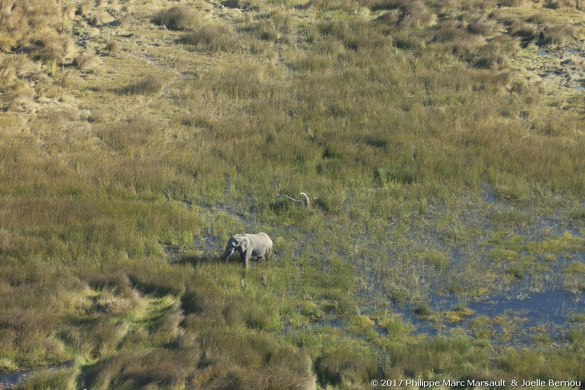 /ecran/Botswana_2017_0057.jpg