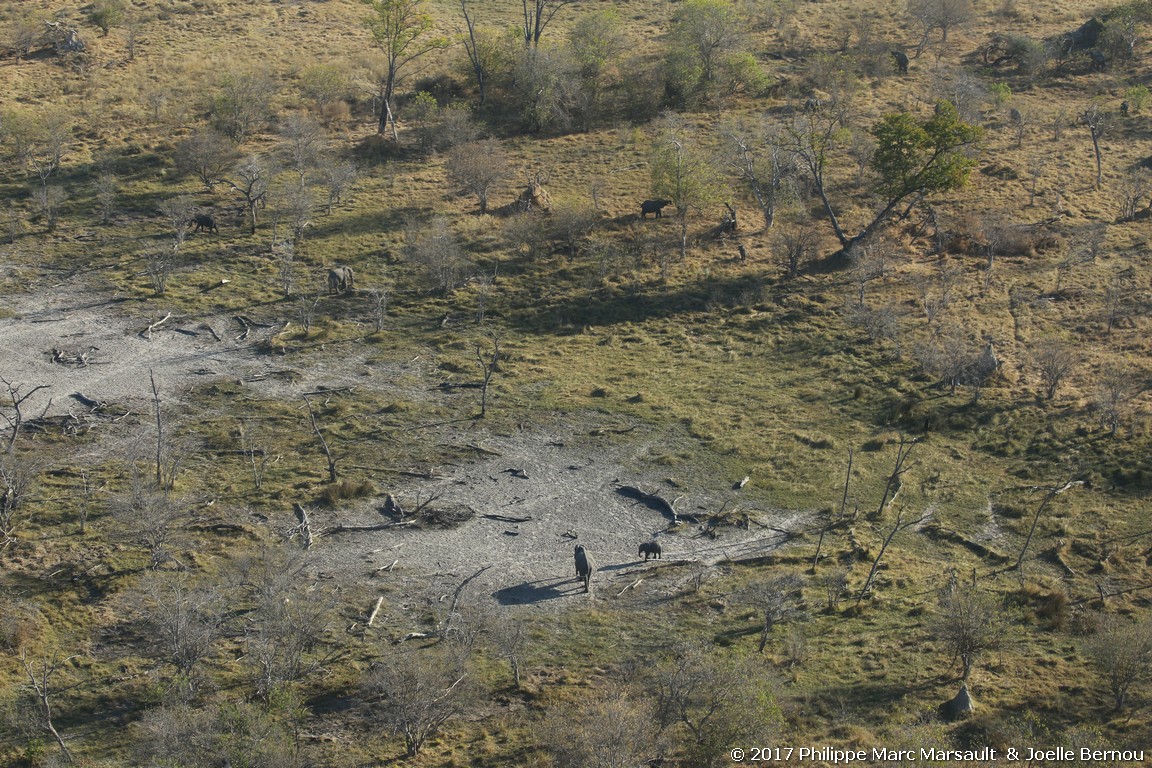 /ecran/Botswana_2017_0059.jpg