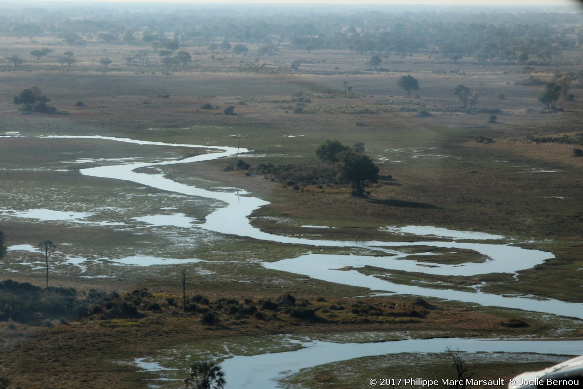 /ecran/Botswana_2017_0082.jpg