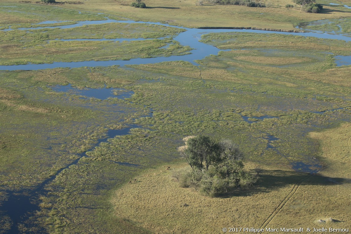 /ecran/Botswana_2017_0096.jpg