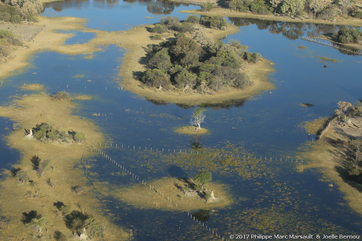 /ecran/Botswana_2017_0134.jpg