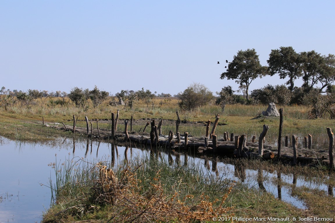 /ecran/Botswana_2017_0164.jpg