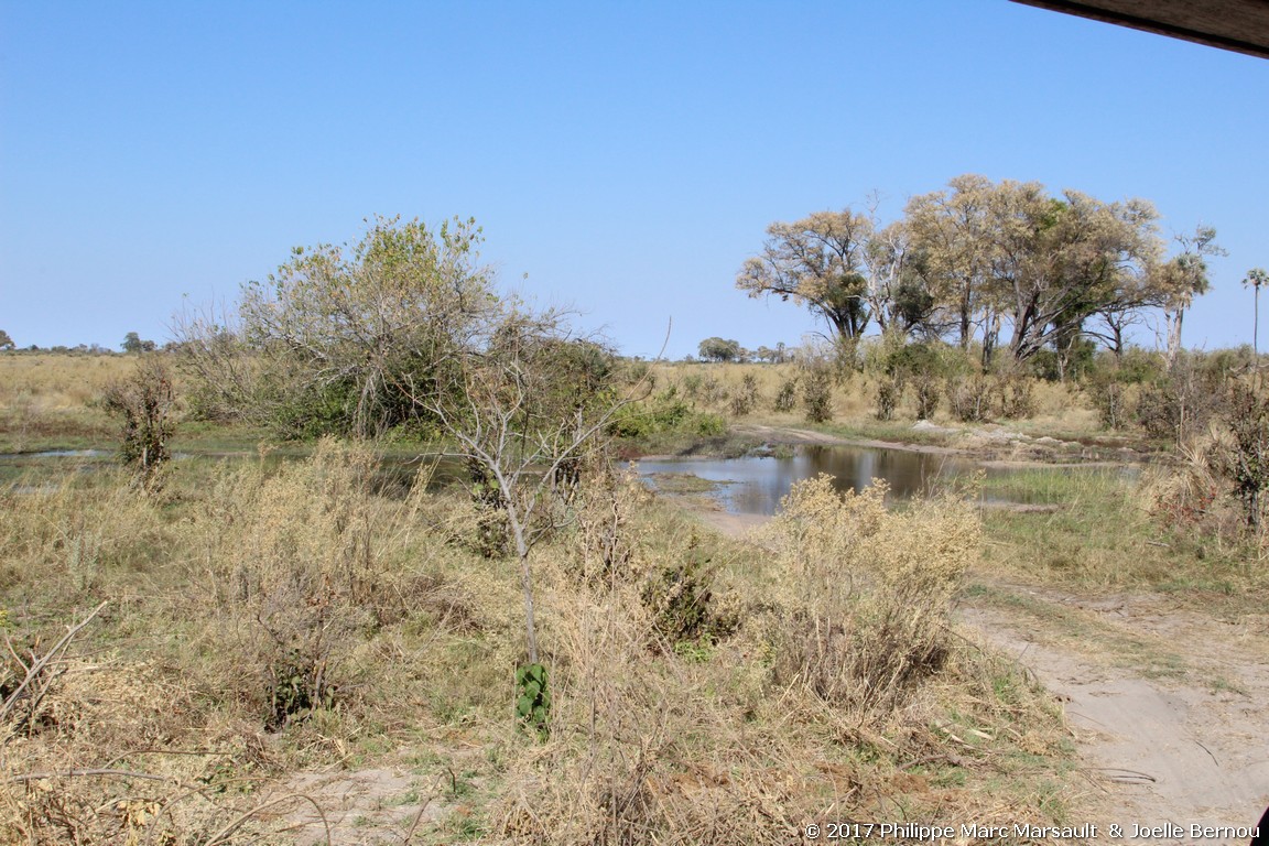 /ecran/Botswana_2017_0166.jpg