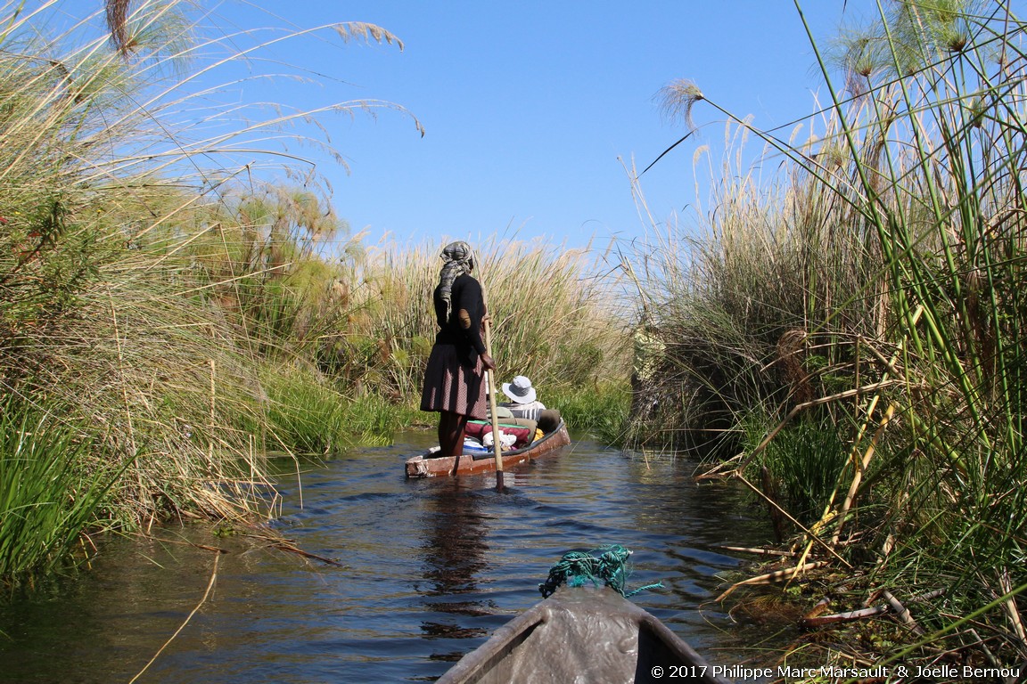 /ecran/Botswana_2017_0193.jpg