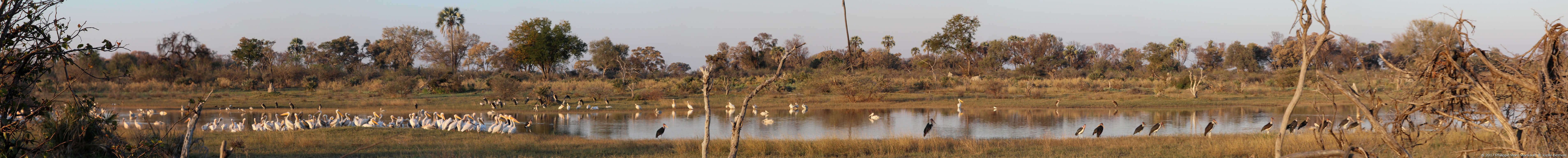 /ecran/Botswana_2017_0274.jpg