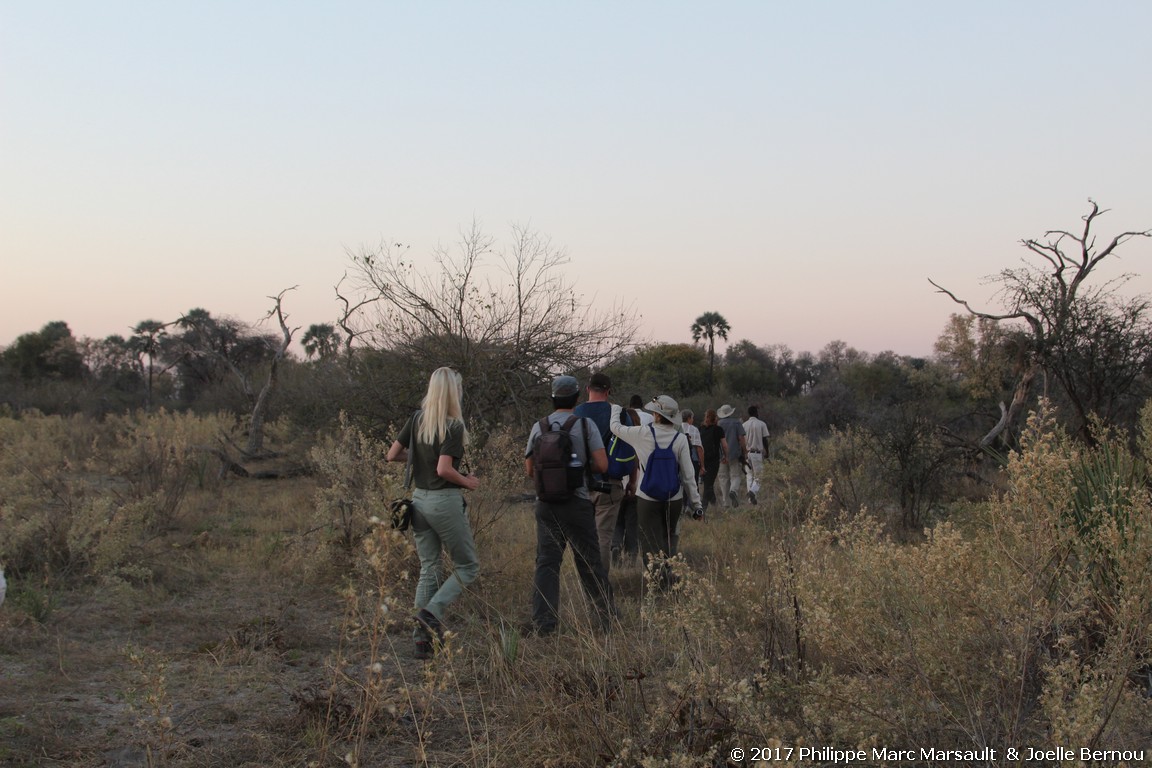 /ecran/Botswana_2017_0296.jpg