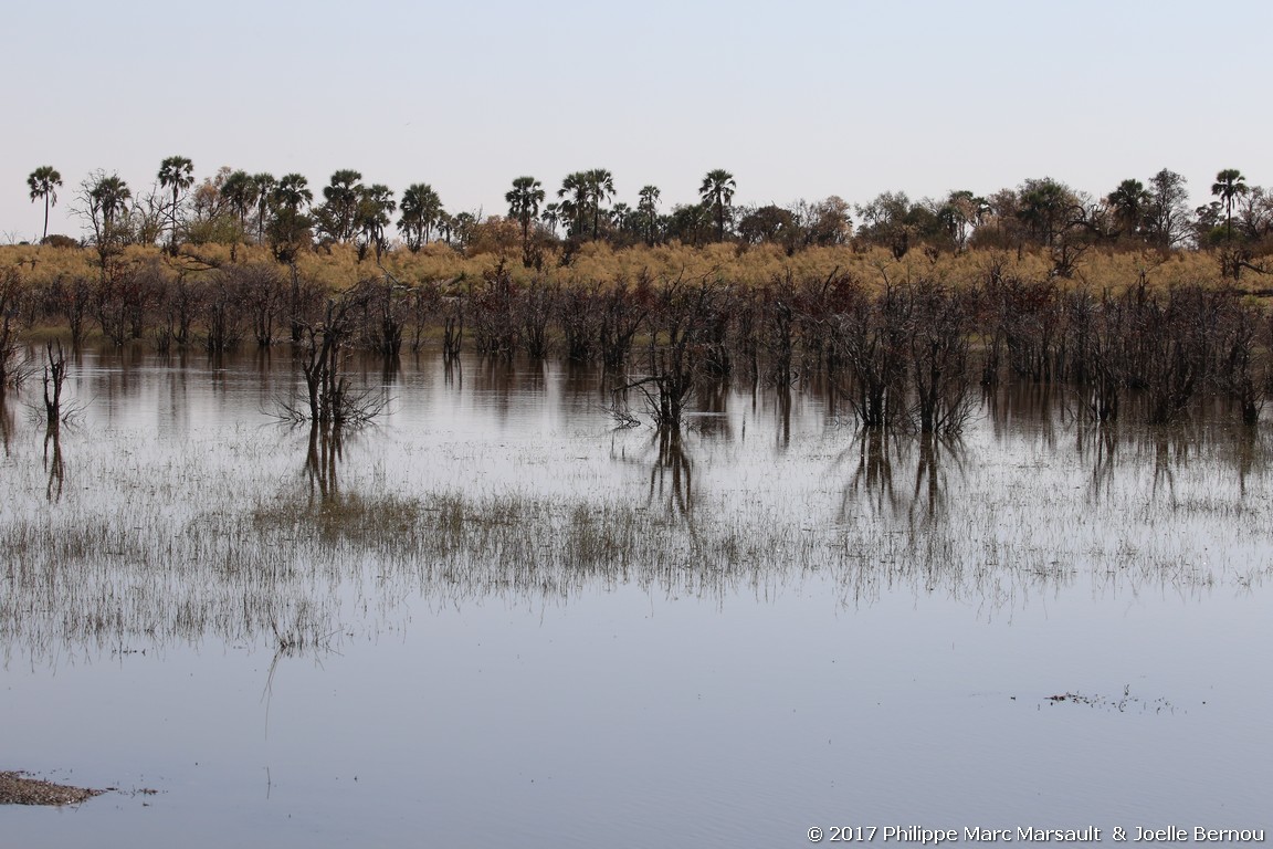 /ecran/Botswana_2017_0342.jpg