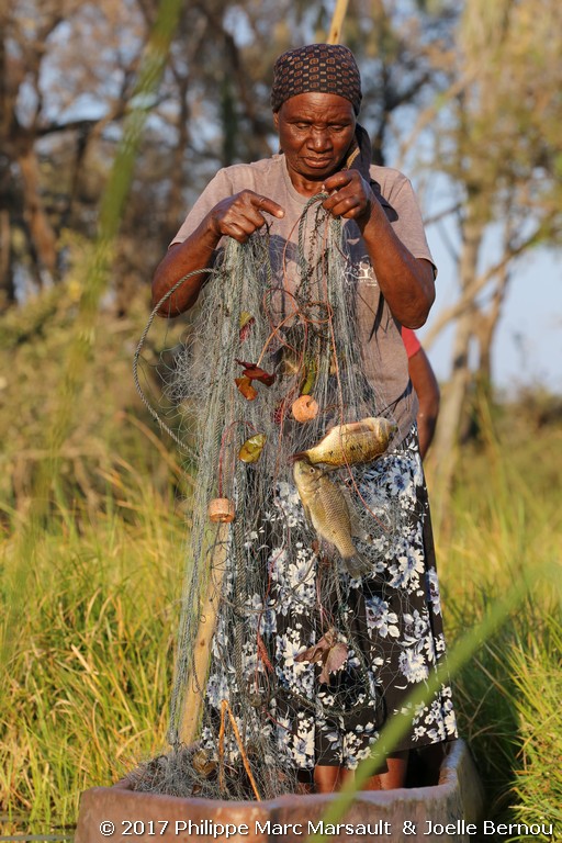 /ecran/Botswana_2017_0379.jpg