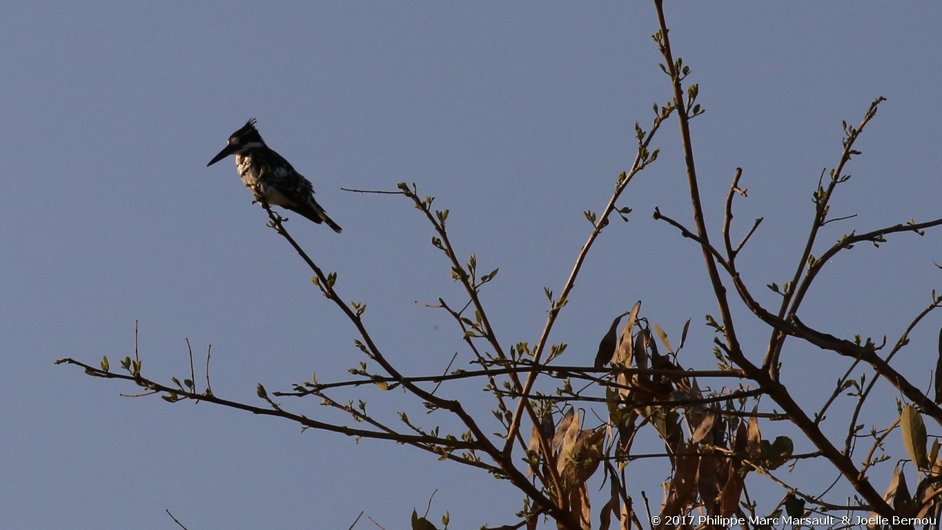 /ecran/Botswana_2017_0381.jpg