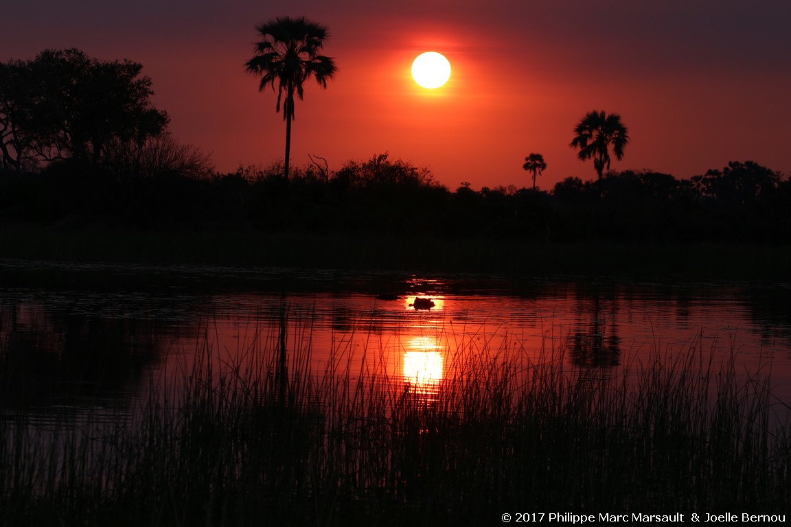 /ecran/Botswana_2017_0410.jpg