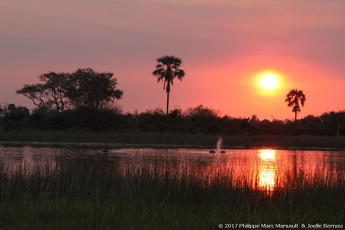 /ecran/Botswana_2017_0412.jpg