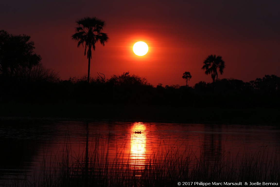 /ecran/Botswana_2017_0414.jpg