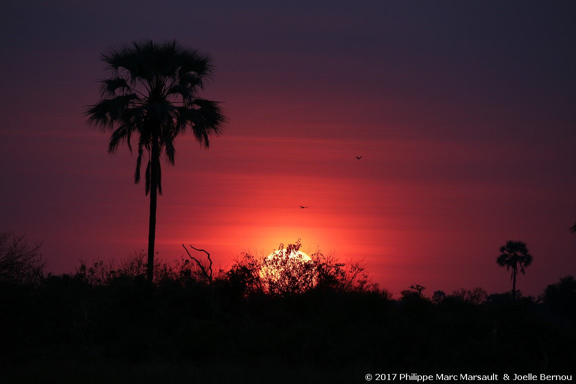 /ecran/Botswana_2017_0423.jpg