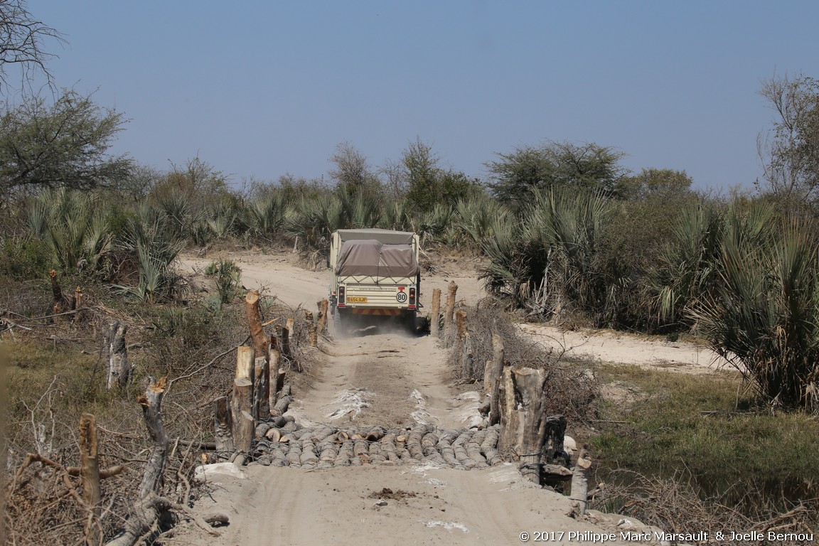 /ecran/Botswana_2017_0454.jpg