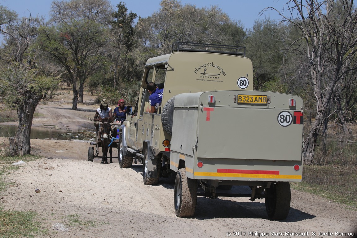 /ecran/Botswana_2017_0459.jpg