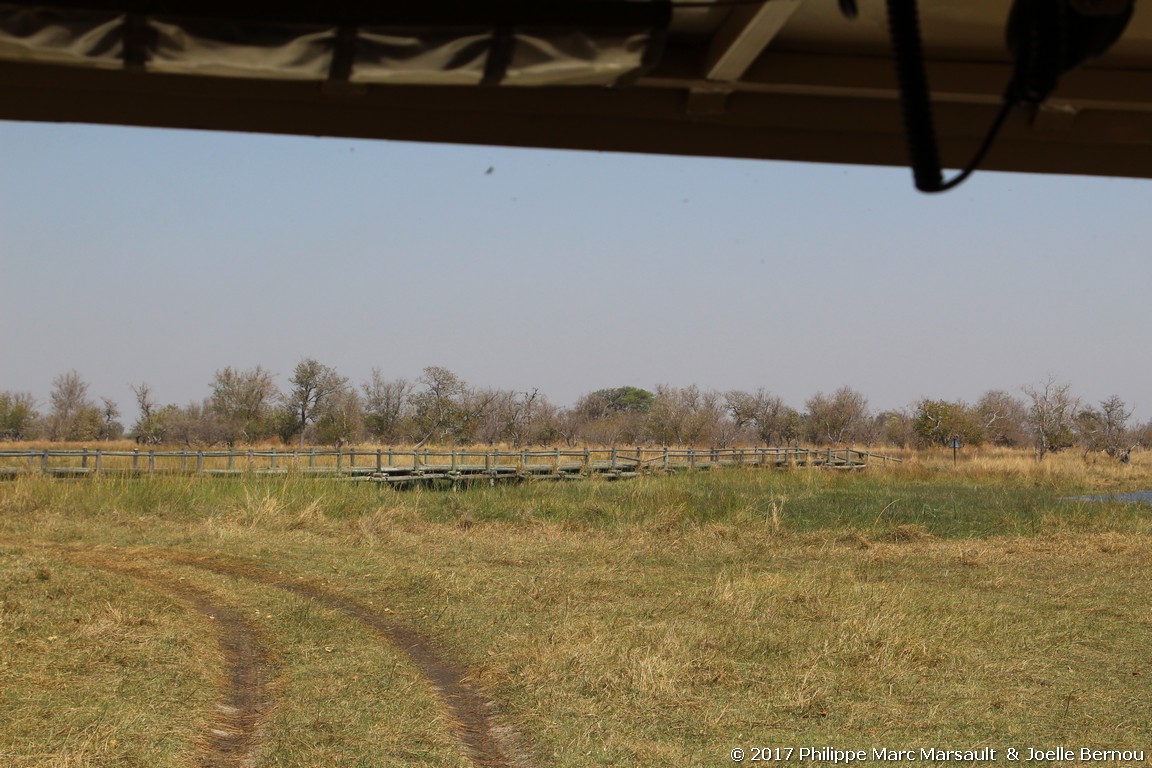 /ecran/Botswana_2017_0545.jpg