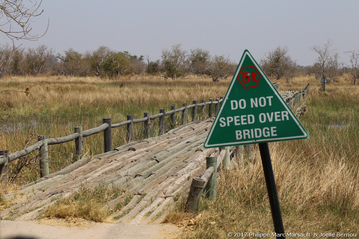 /ecran/Botswana_2017_0549.jpg