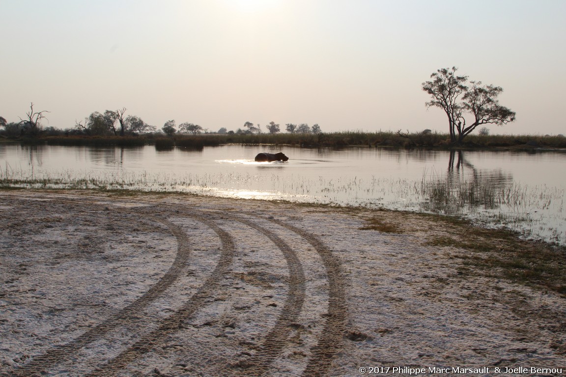 /ecran/Botswana_2017_0811.jpg