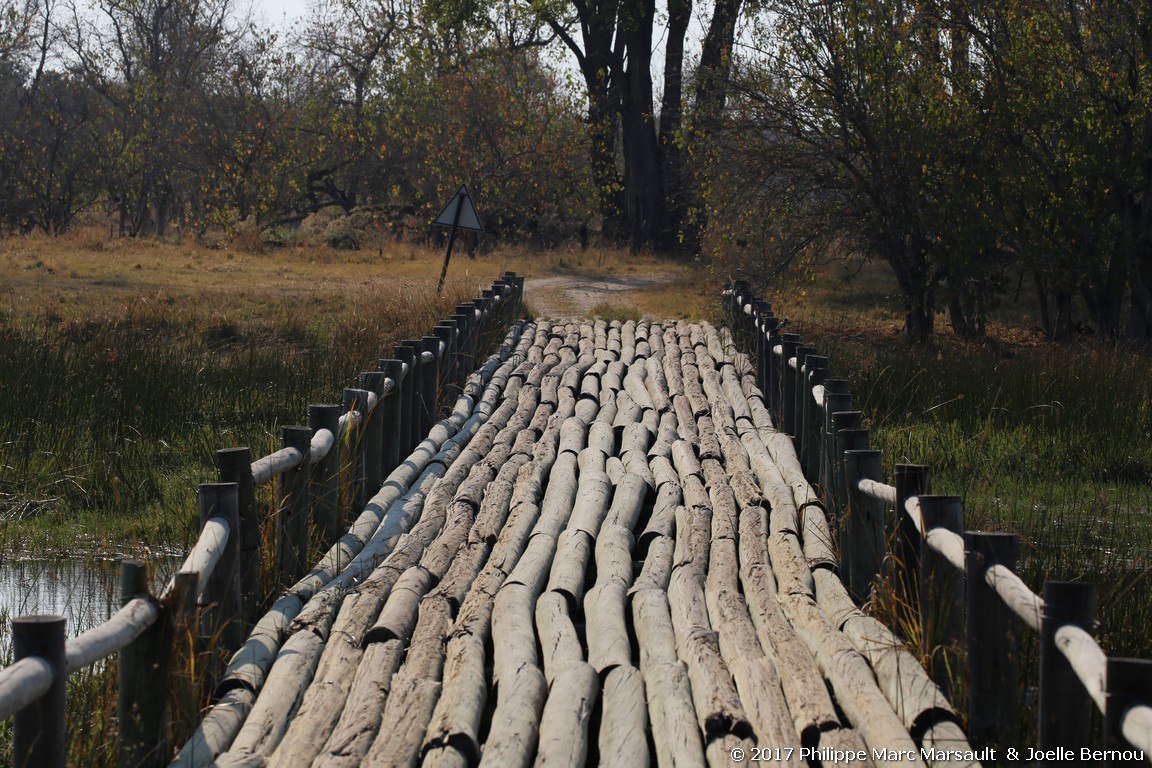 /ecran/Botswana_2017_0844.jpg