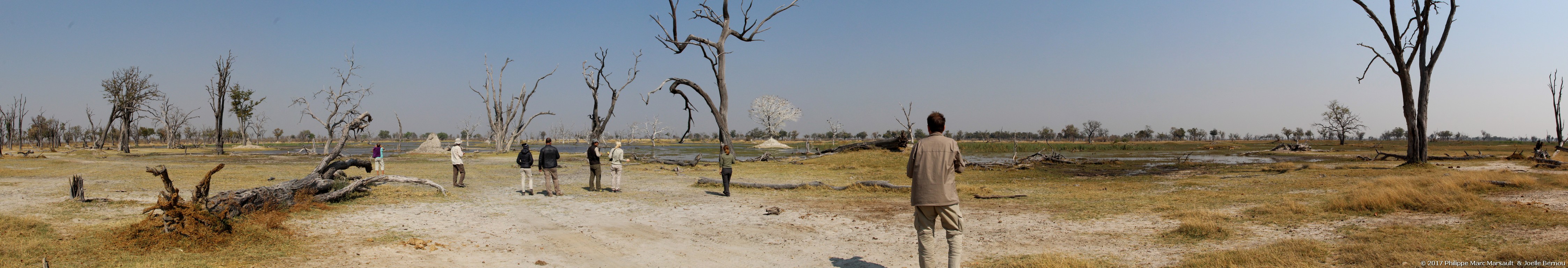 /ecran/Botswana_2017_0879.jpg