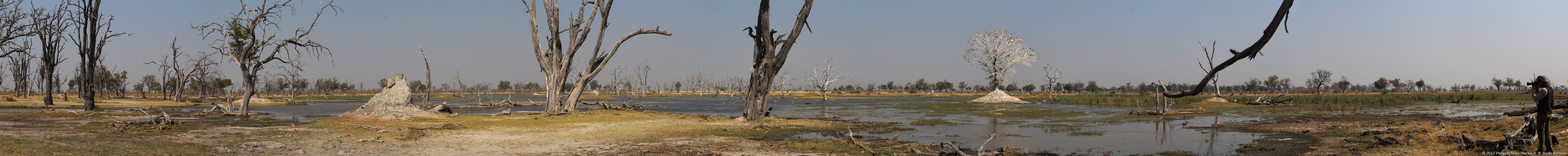 /ecran/Botswana_2017_0892.jpg