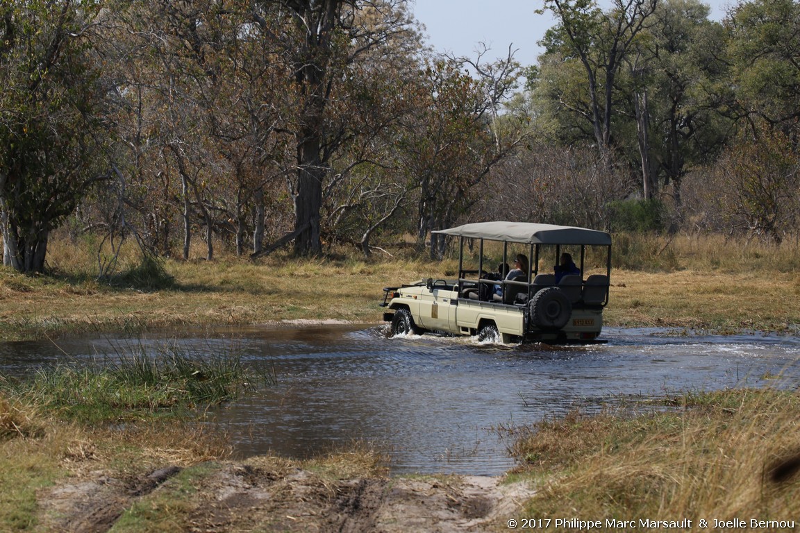 /ecran/Botswana_2017_0902.jpg