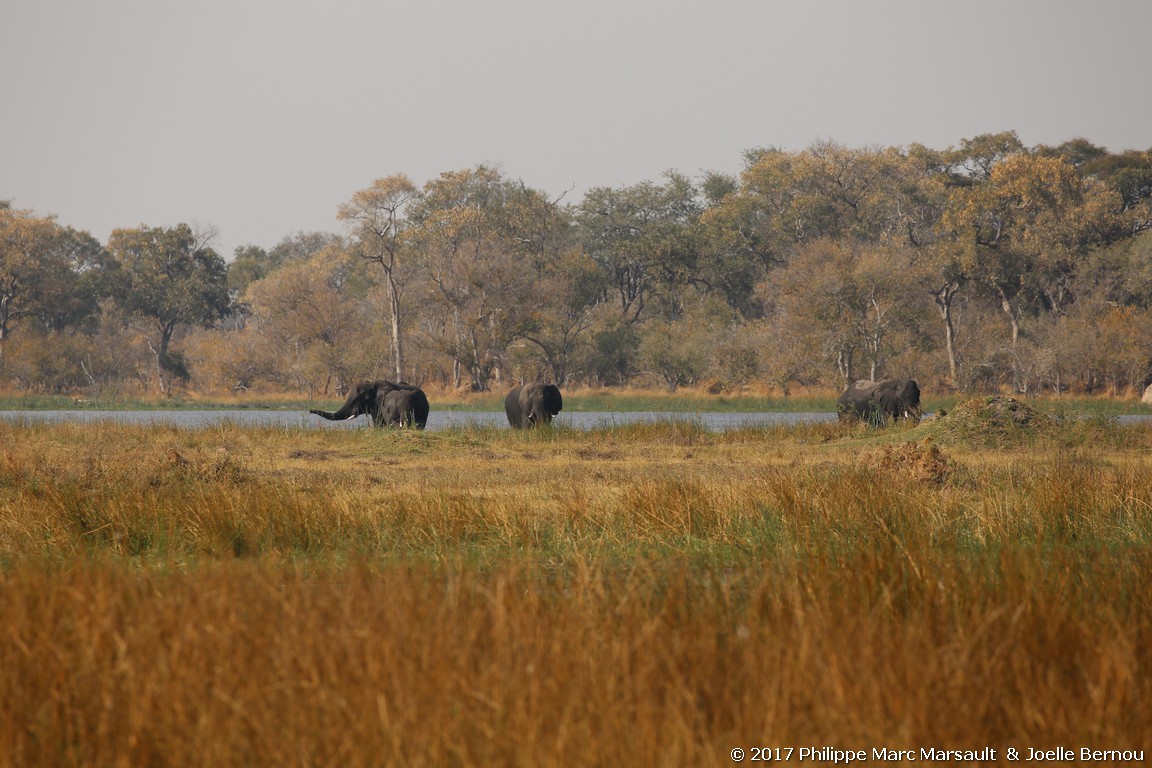 /ecran/Botswana_2017_0917.jpg