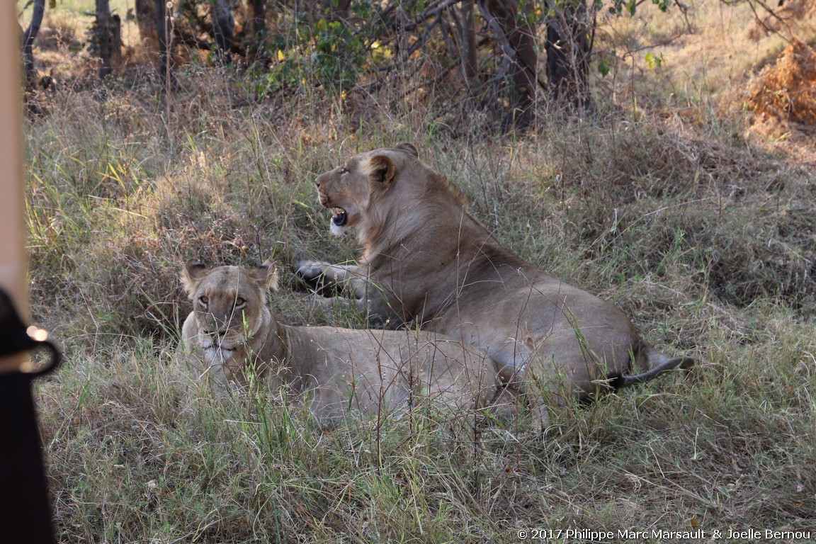 /ecran/Botswana_2017_0938.jpg