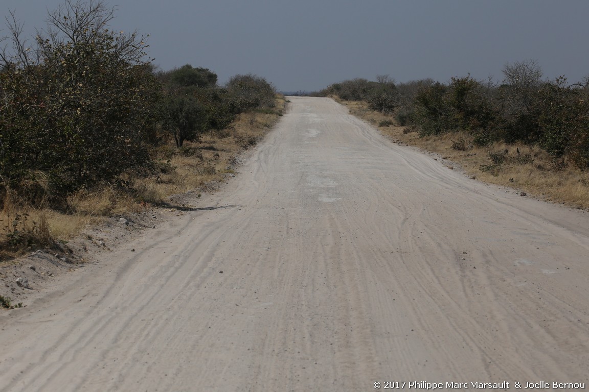 /ecran/Botswana_2017_1017.jpg