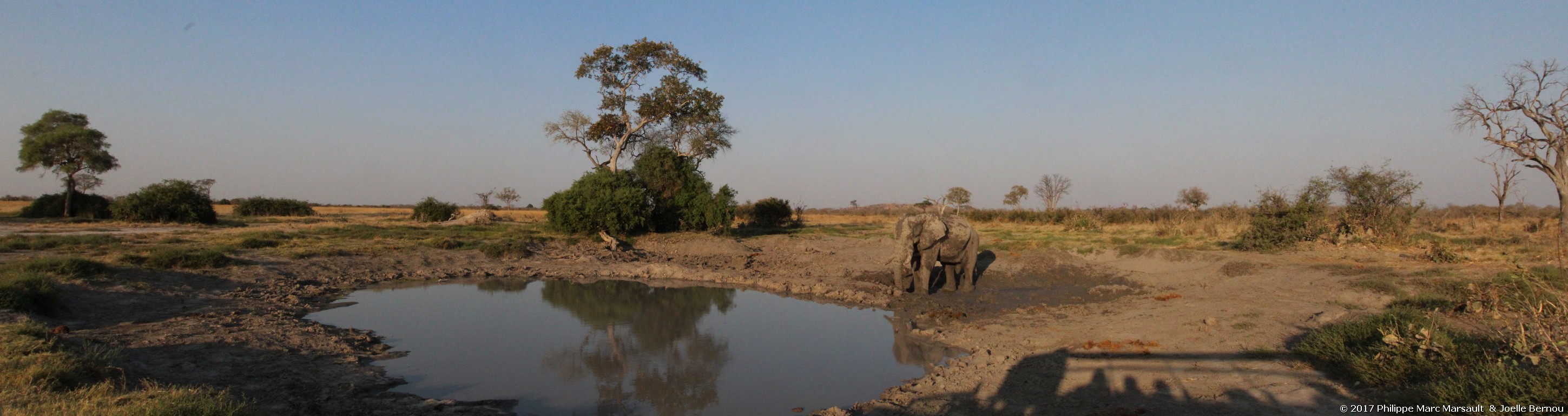 /ecran/Botswana_2017_1042.jpg