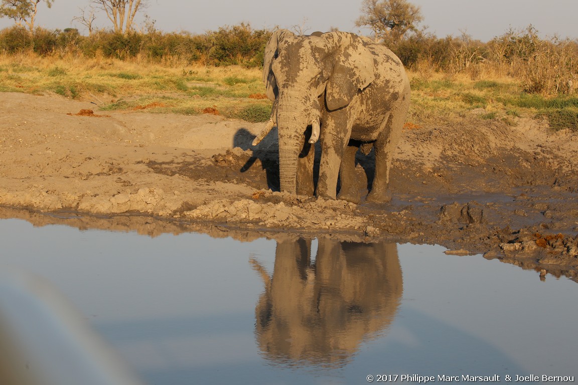 /ecran/Botswana_2017_1049.jpg