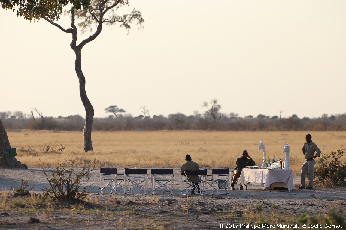 /ecran/Botswana_2017_1054.jpg