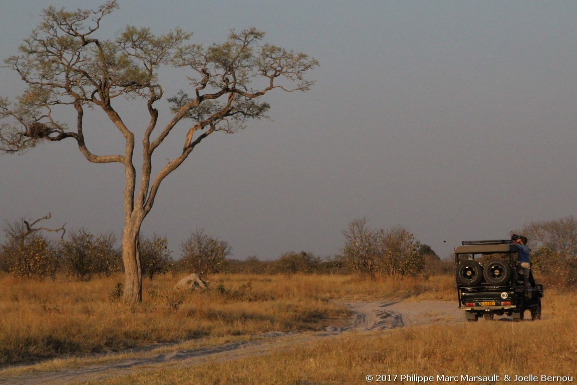 /ecran/Botswana_2017_1056.jpg