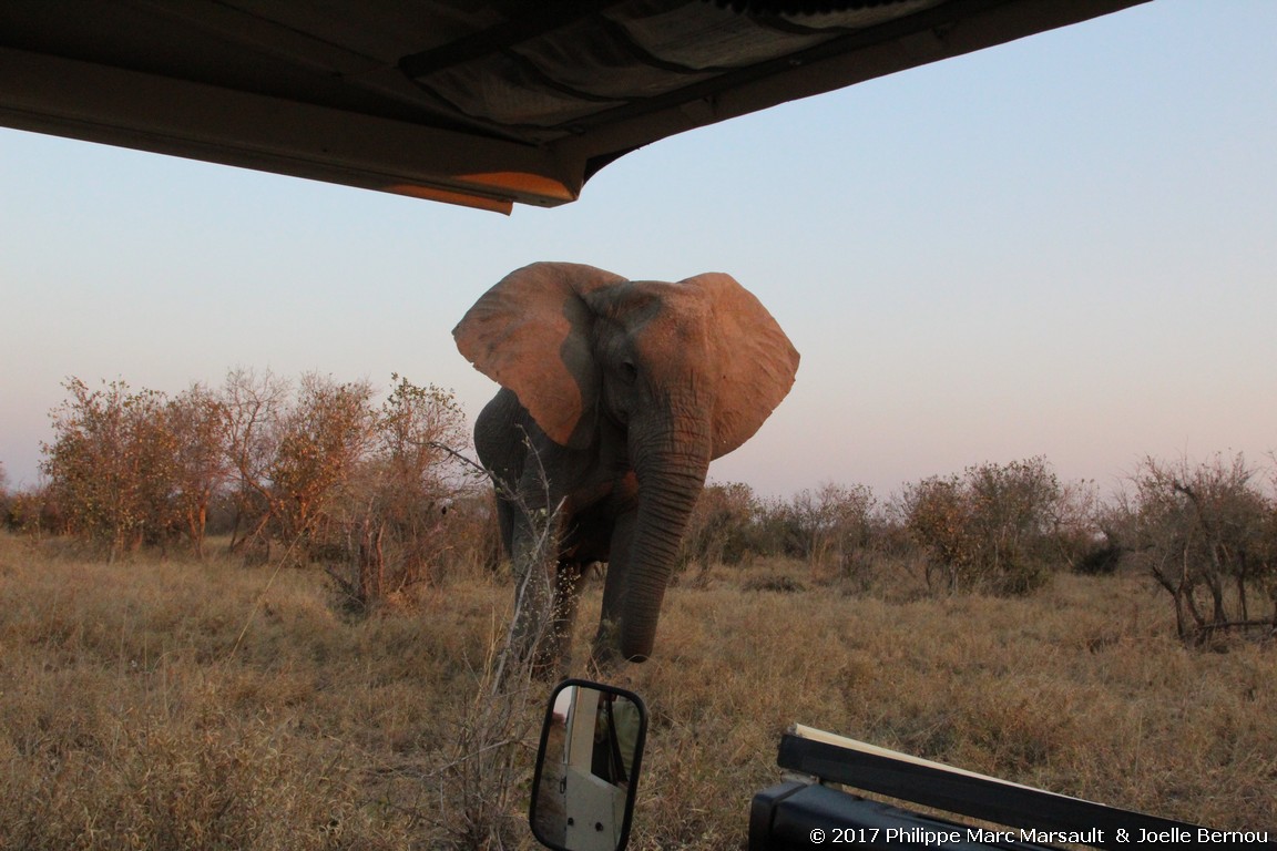 /ecran/Botswana_2017_1064.jpg