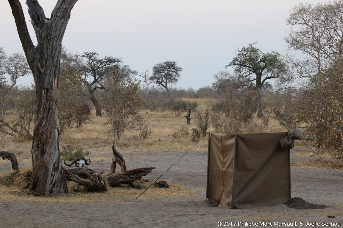 /ecran/Botswana_2017_1072.jpg