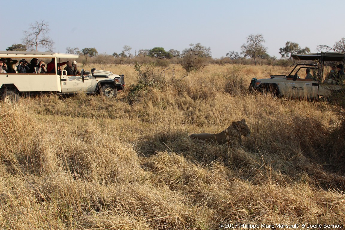 /ecran/Botswana_2017_1094.jpg