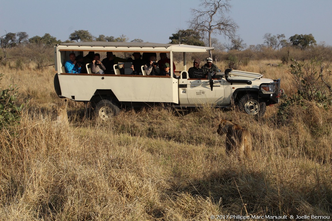 /ecran/Botswana_2017_1102.jpg