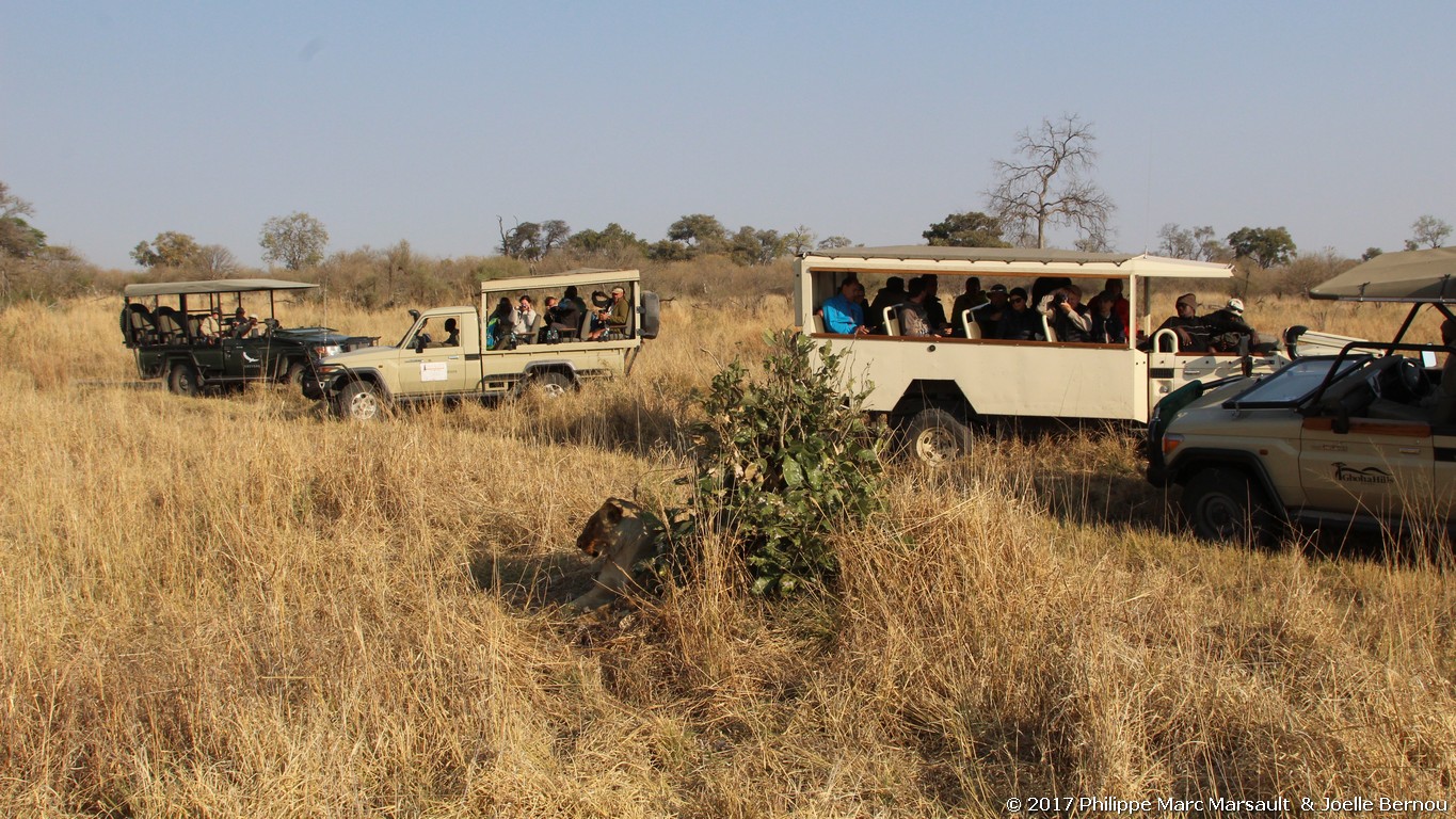 /ecran/Botswana_2017_1122.jpg