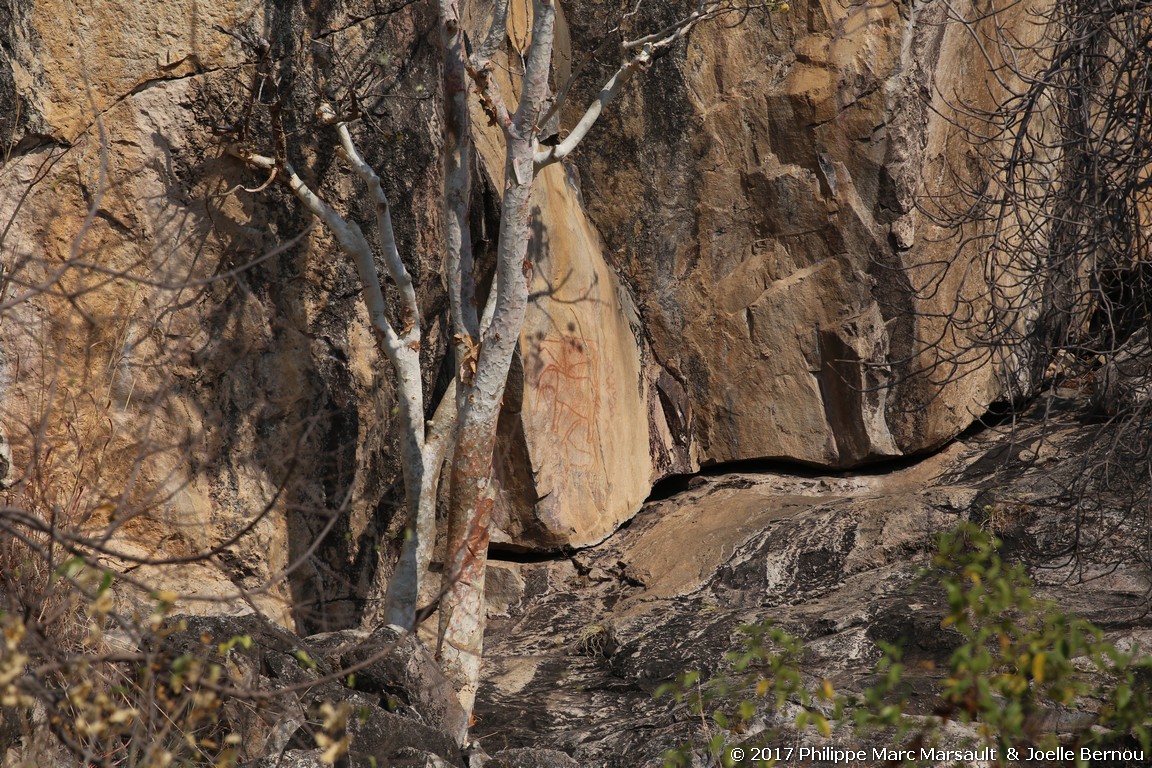 /ecran/Botswana_2017_1148.jpg