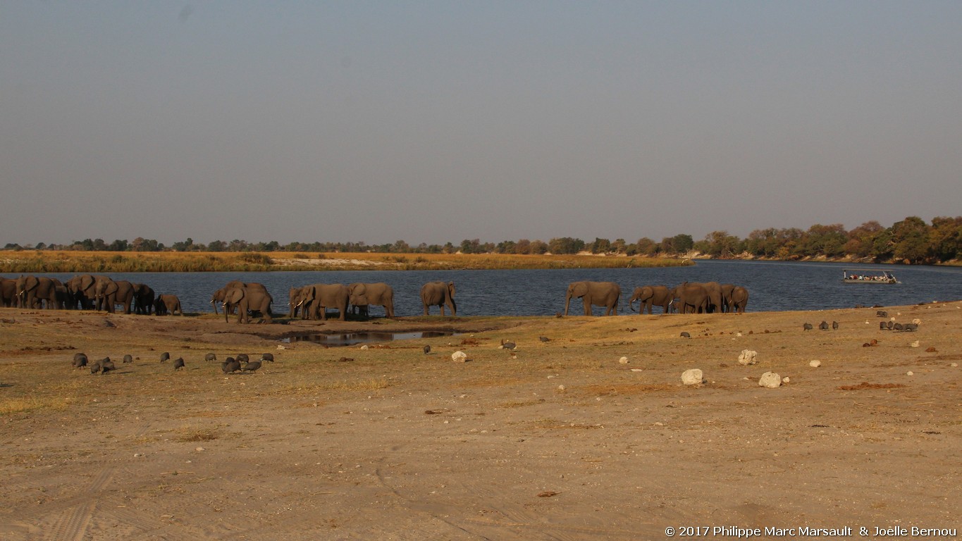 /ecran/Botswana_2017_1171.jpg