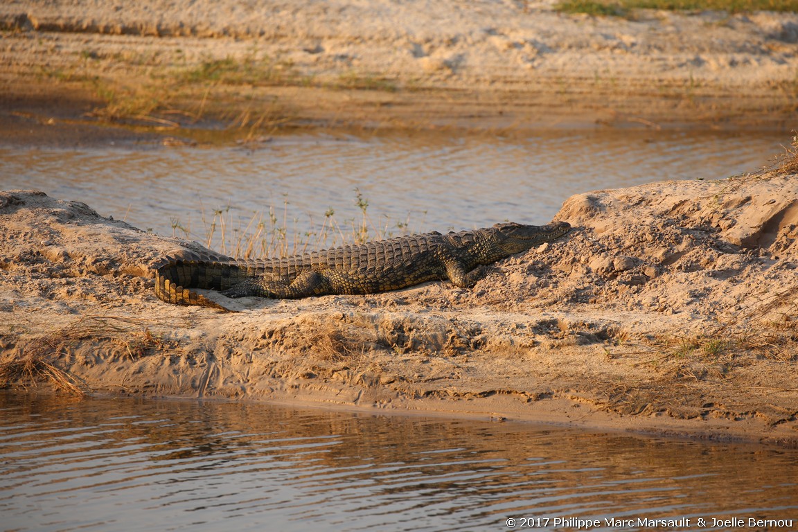 /ecran/Botswana_2017_1191.jpg