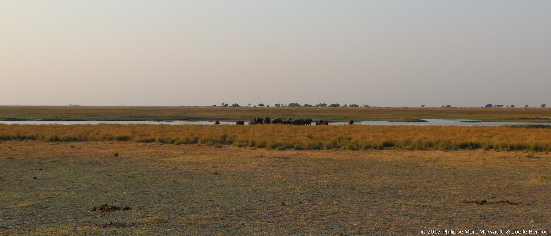 /ecran/Botswana_2017_1195.jpg