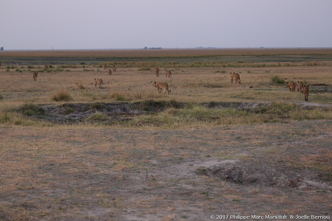 /ecran/Botswana_2017_1266.jpg