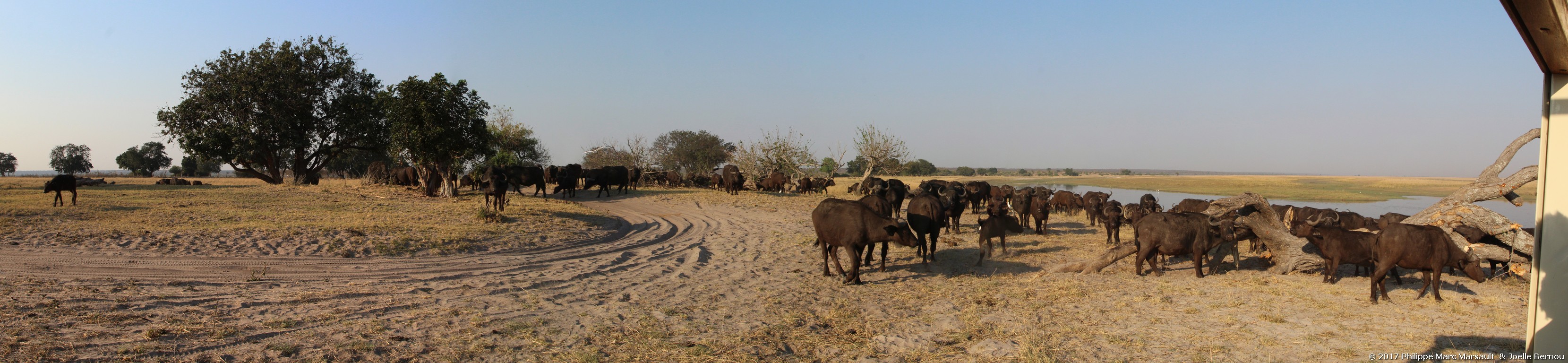 /ecran/Botswana_2017_1297.jpg