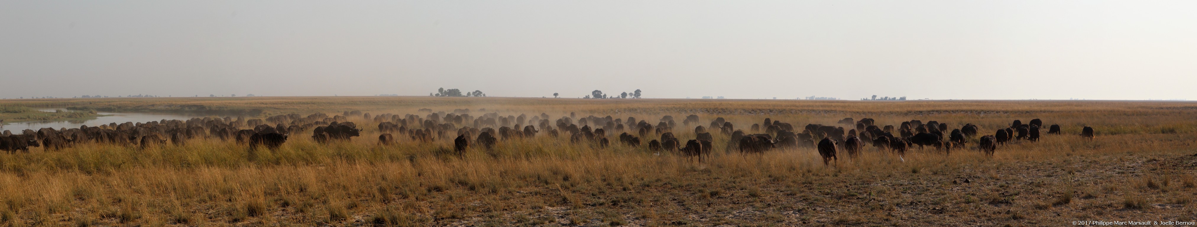 /ecran/Botswana_2017_1311.jpg