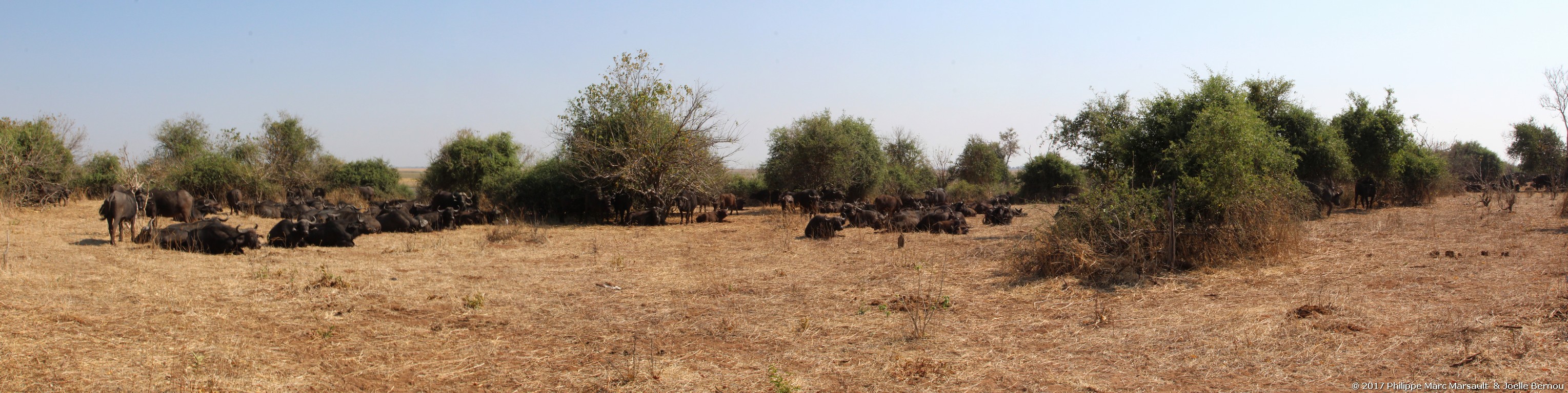 /ecran/Botswana_2017_1347.jpg