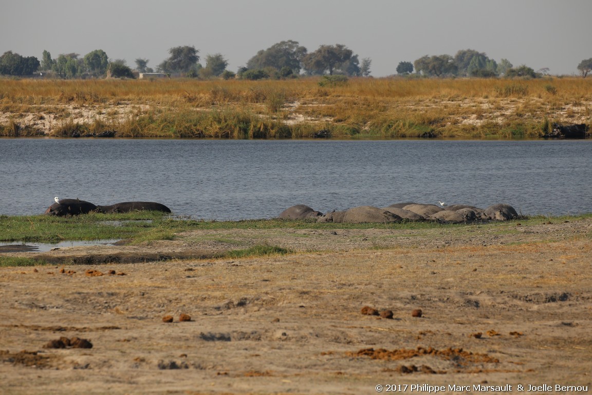 /ecran/Botswana_2017_1401.jpg