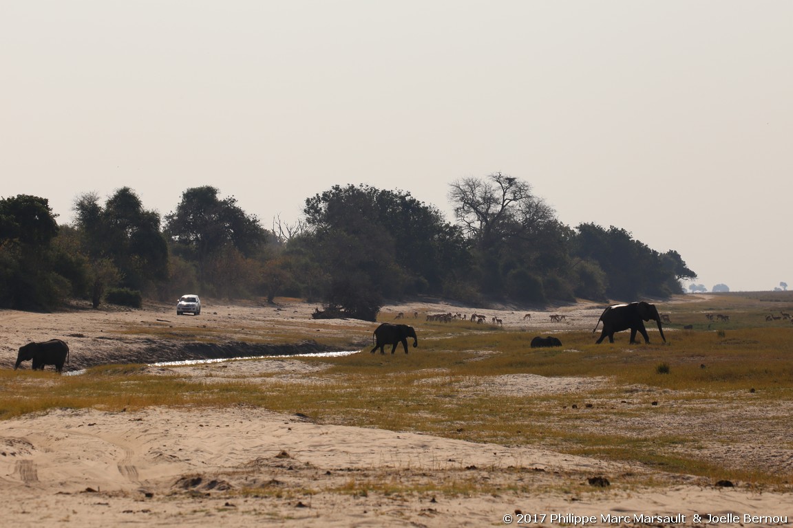 /ecran/Botswana_2017_1403.jpg