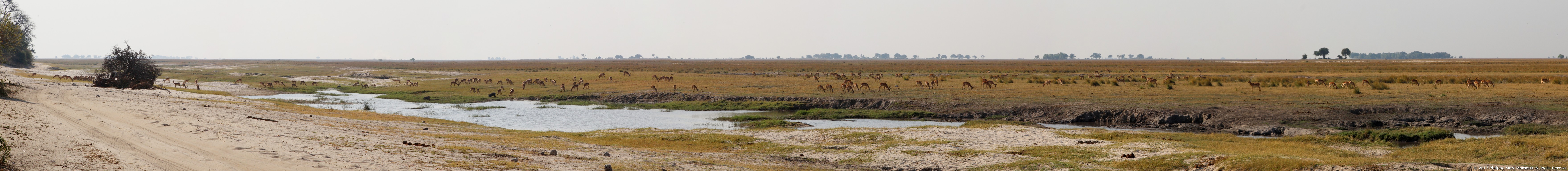 /ecran/Botswana_2017_1406.jpg