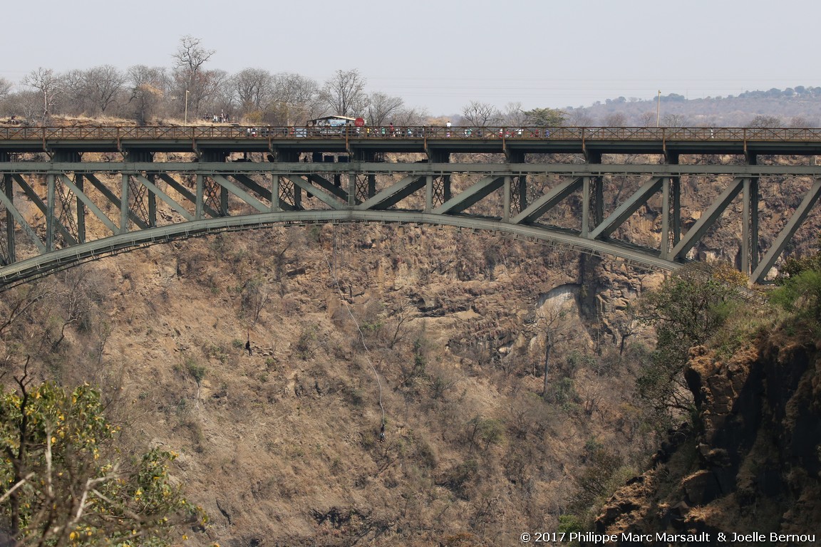 /ecran/Botswana_2017_1639.jpg